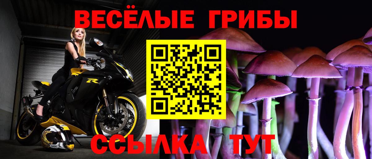 Псилоцибиновые грибы мицелий  Вход с VPN  Челябинск 